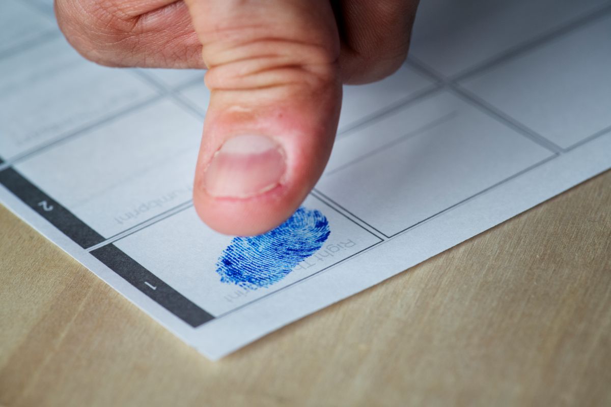  Finger Print Analysis